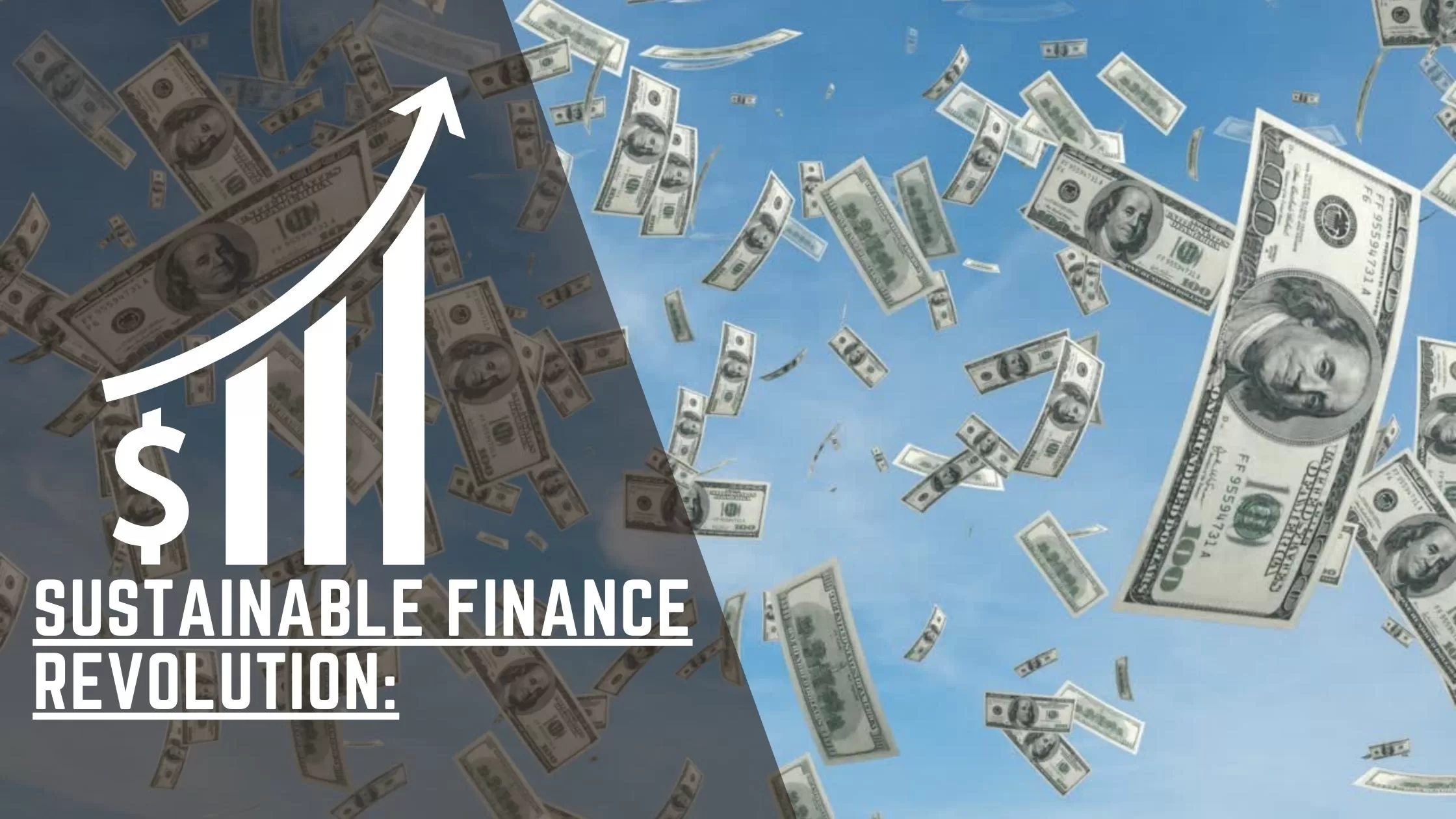 Sustainable Finance Revolution: